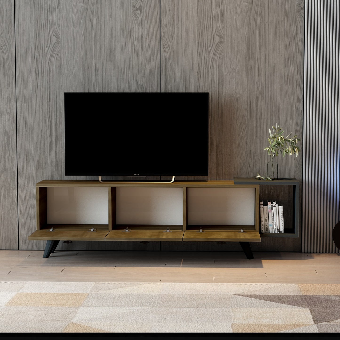 Agnus TV stand with Cabinets and Shelf
