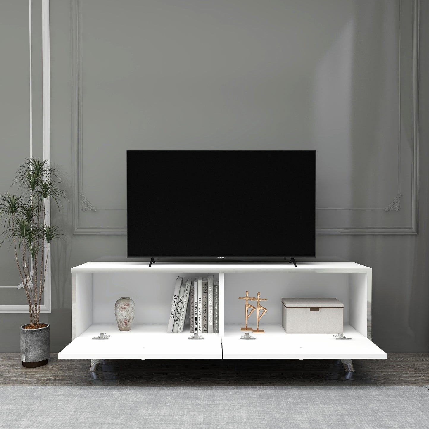 Esmera 120 cm Wide TV Stand and Media Console with Cabinets