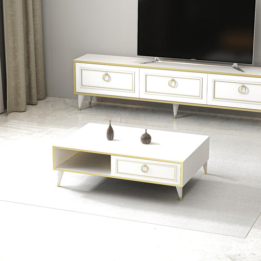 Antonia Coffee Table with Storage Cabinet Shelf - Destina Home