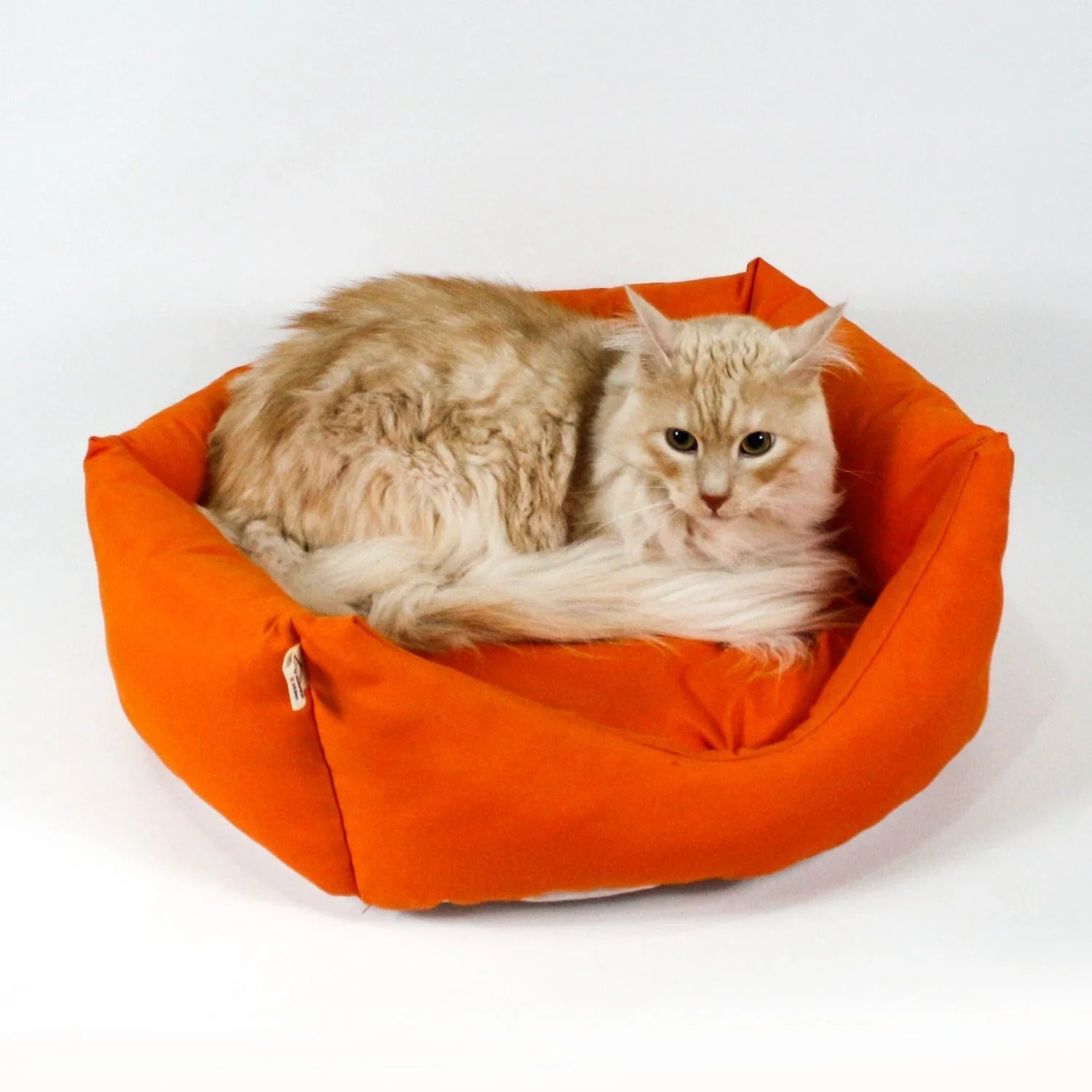 cat dog bed, pet supplies, cat dog outfit clothes, pet clothes, cat dog costume suit dog apparel