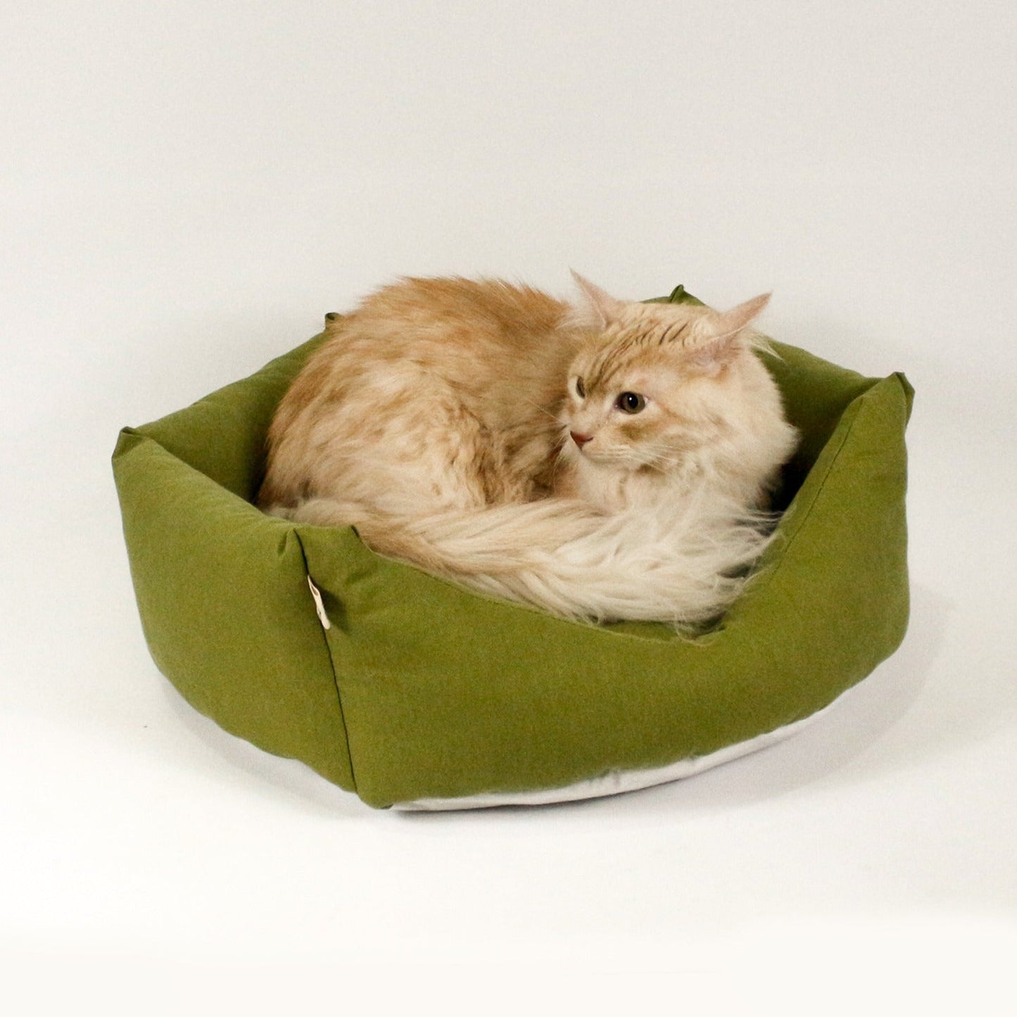 Cat and Dog Beds 42 x 42 Dreamy