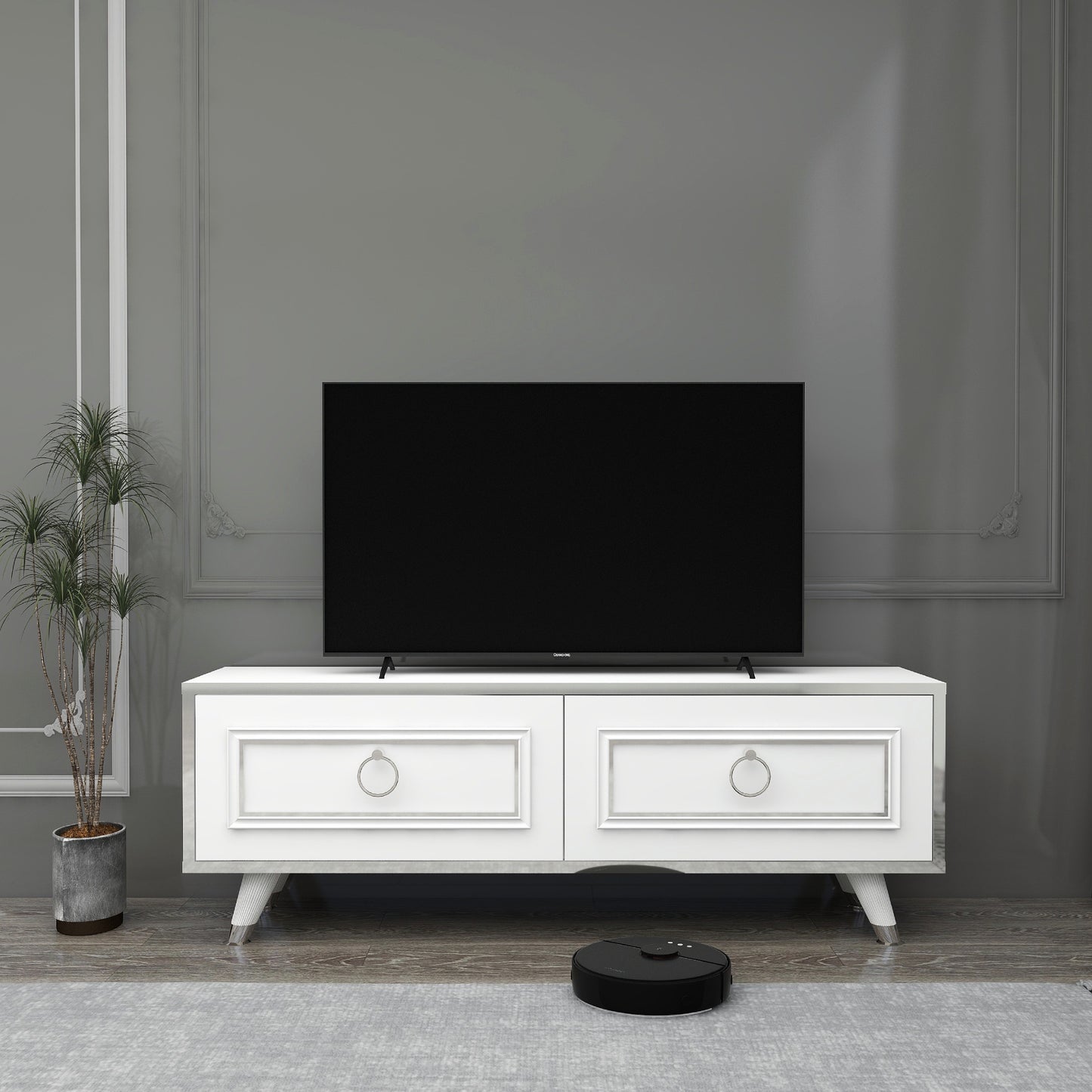 Esmera 120 cm Wide TV Stand and Media Console with Cabinets
