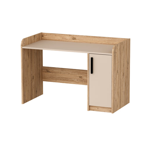 Lelia Computer Desk with Cabinet