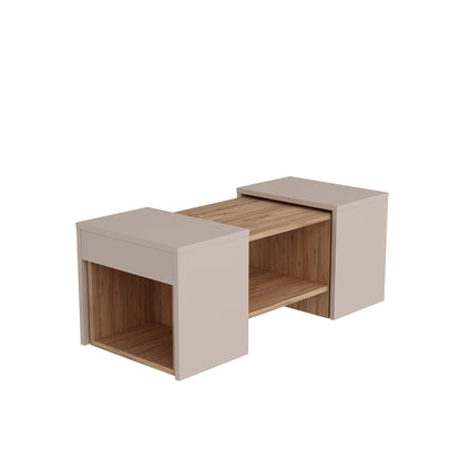Irene Nesting Coffee Table with Storage Shelves (Set of 3)