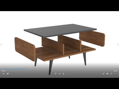 Line Coffee Table with Storage Unit