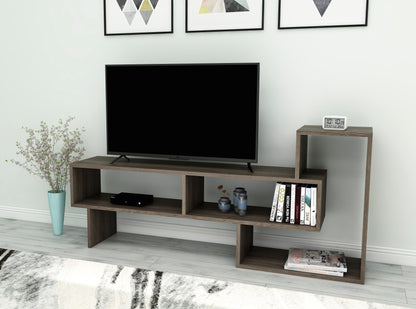 Gambia TV Stand with Shelves for TVs up to 50"