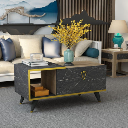 Alisya Coffee Table with Storage Cabinet and Shelf - Destina Home