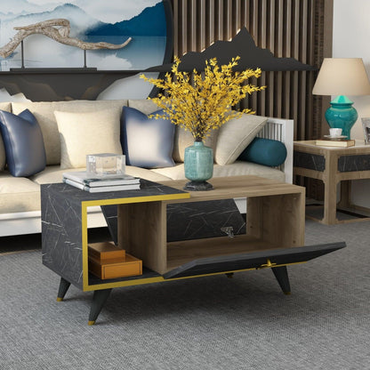 Alisya Coffee Table with Storage Cabinet and Shelf - Destina Home