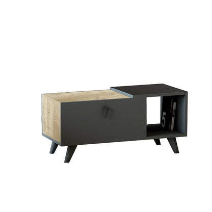 Alisya Coffee Table with Storage Cabinet and Shelf - Destina Home